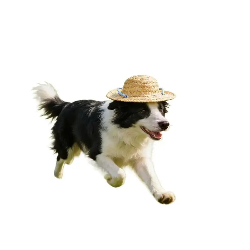 Cute Adjustable Pet Woven Hat Dog Decorative Hat Photo Prop Dog Cat Sunshade Cap Run Straw Hat For Small Dog Puppy Cat Qme