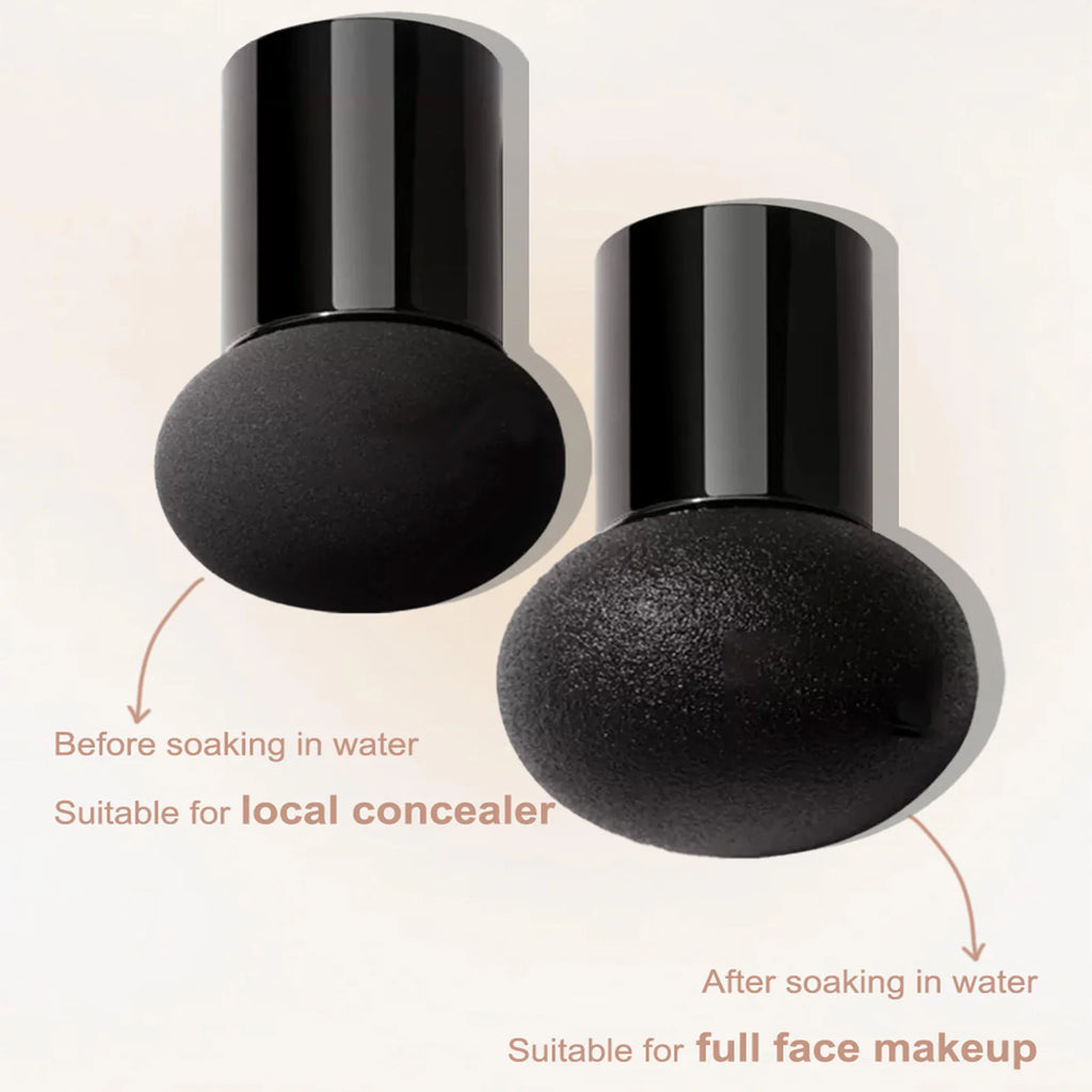 Air Cushion BB Cream Moisturizing Concealer CC Foundation Qme