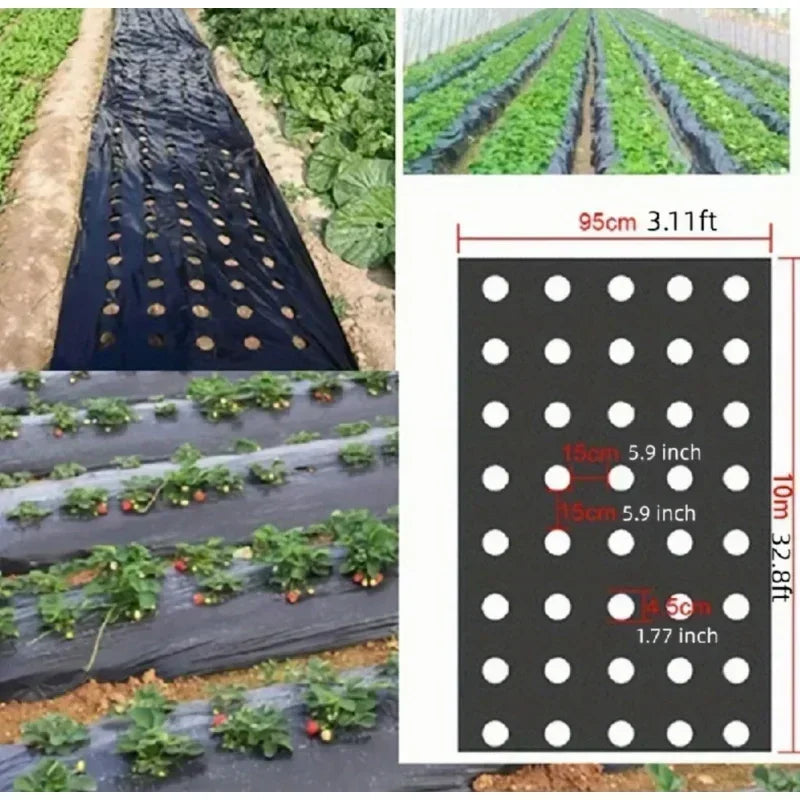 Grow Your Vegetables with Our High-Quality Black Plastic MulchFilm - Perfect for Greenhouses and Plant Protection! Qme