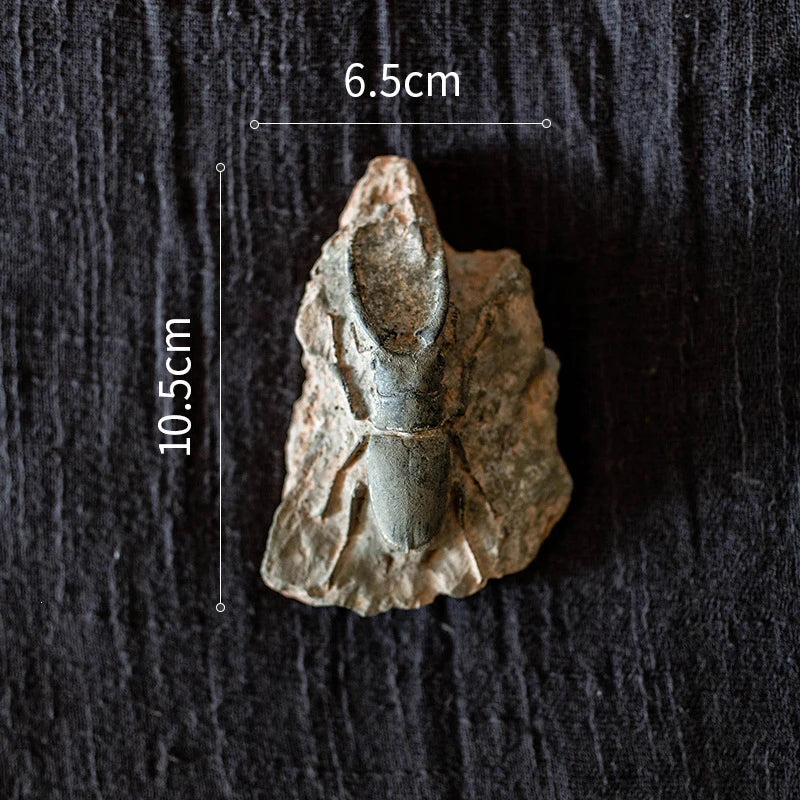 Child Toy Simulated Resin Fossil Ornament Crawling Terrarium Decors Qme A3