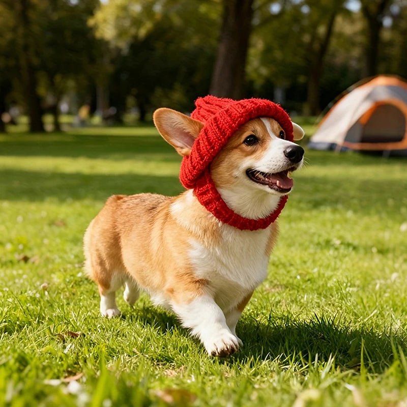 Soft Knit Ear Flaps Keep Warm Small Dogs Winter Indoor Outdoor Use Qme