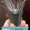Pot Design Desktop Ornament Collectible Keepsake Cat Owners Pet Qme A1