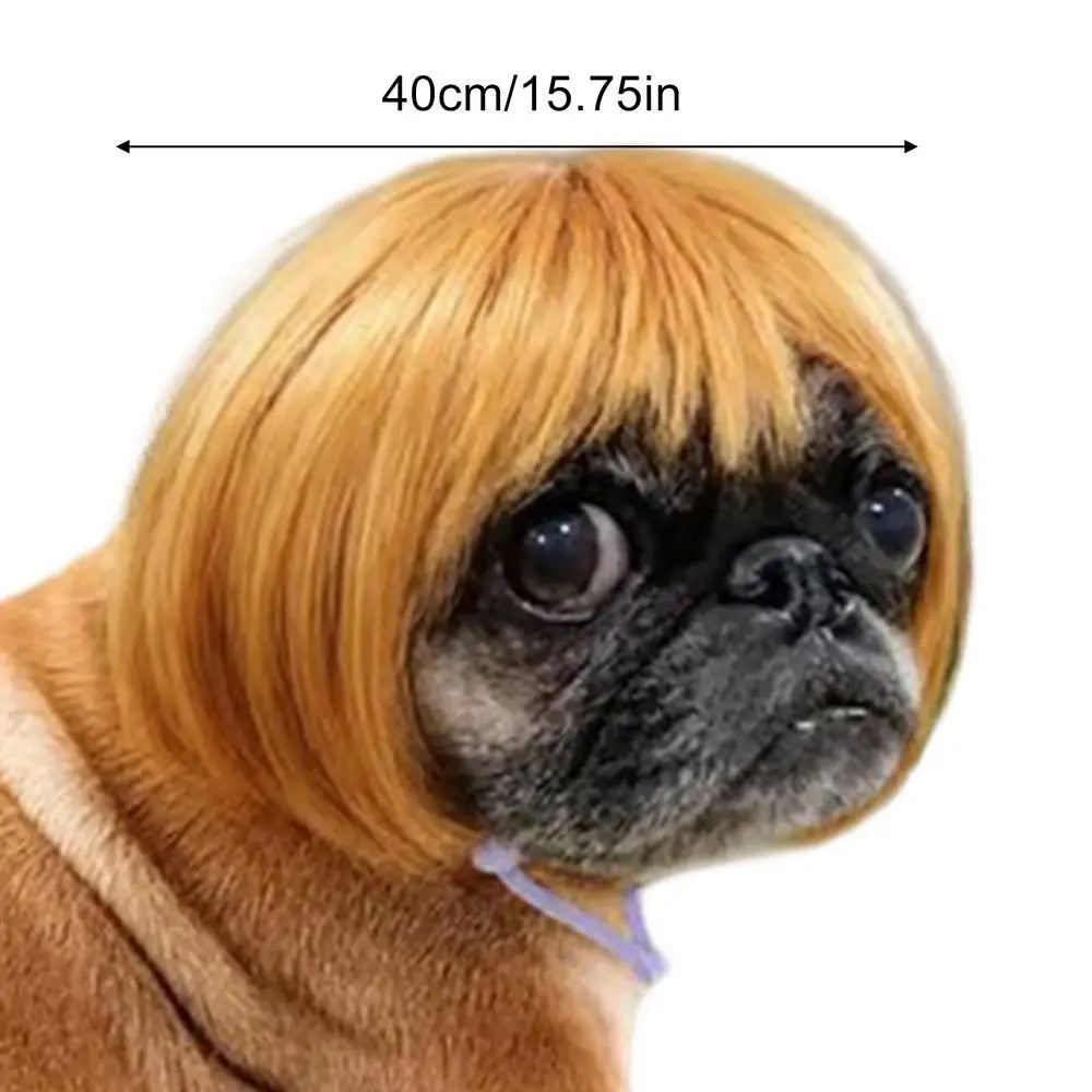 Cat Wig Funny Bangs Adjustable Human-style Pet Costume Halloween Qme Gold China Mainland