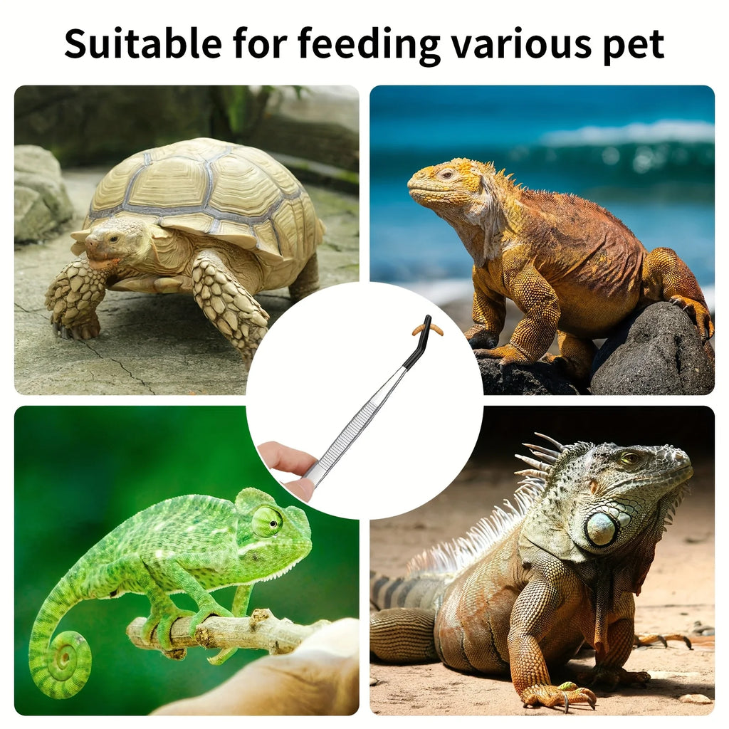 Stainless Steel Reptile Feeding Tongs Rubber Tip 10 6 Flat Curved Qme