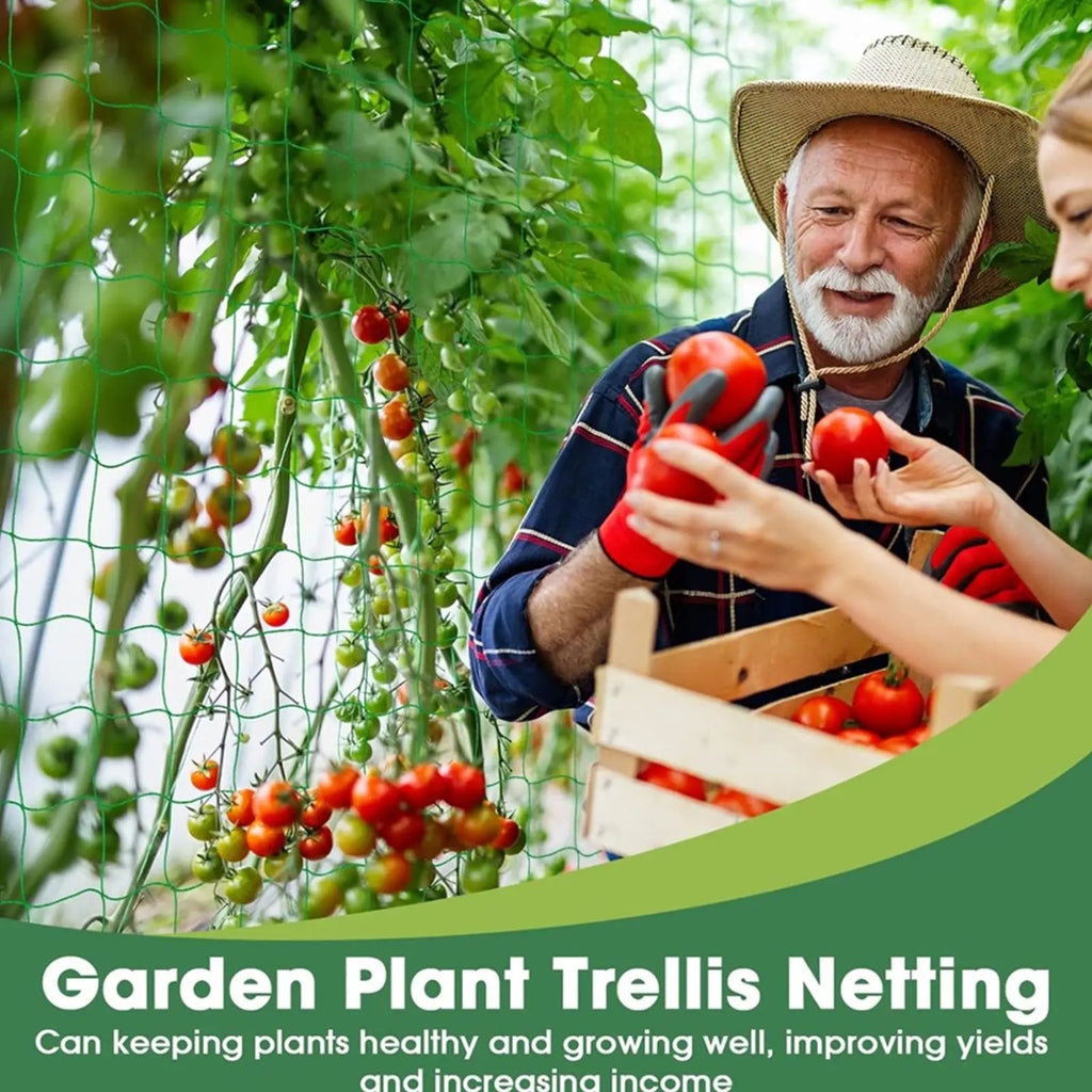9strand Garden Plant Climbing Net for Flowers Tomato Fruits Vegetables Grapes polyester Trellis Netting 0.9m/1.8m/2.7m/3.6mX1.8M Qme