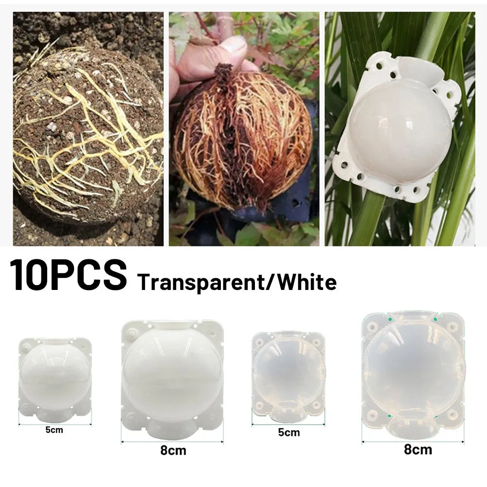 10Pcs Plant Rooting Growing Ball Grafting Root Box Nursery Tray Breeding Tree Graft Case Garden Planting Tools Boxes Replace Qme