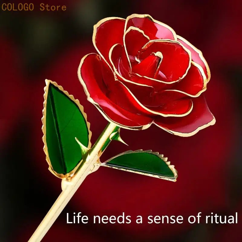 24K Plated Gold Dipped Rose Dried Flower Box Dispaly Stand Qme
