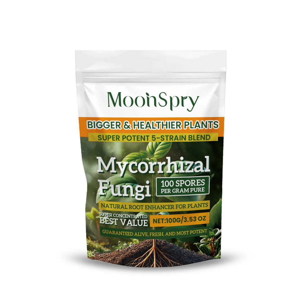 Natural Plants Root Enhancer Promote Root Development Enhance Absorption Capacity Improve Disease Resistance Plant Rooting Agent Qme