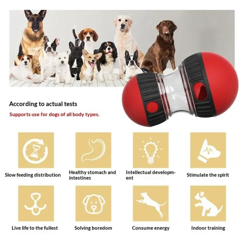 Elliptical Track Rolling Increase Intelligence Ball Leaky Food Qme