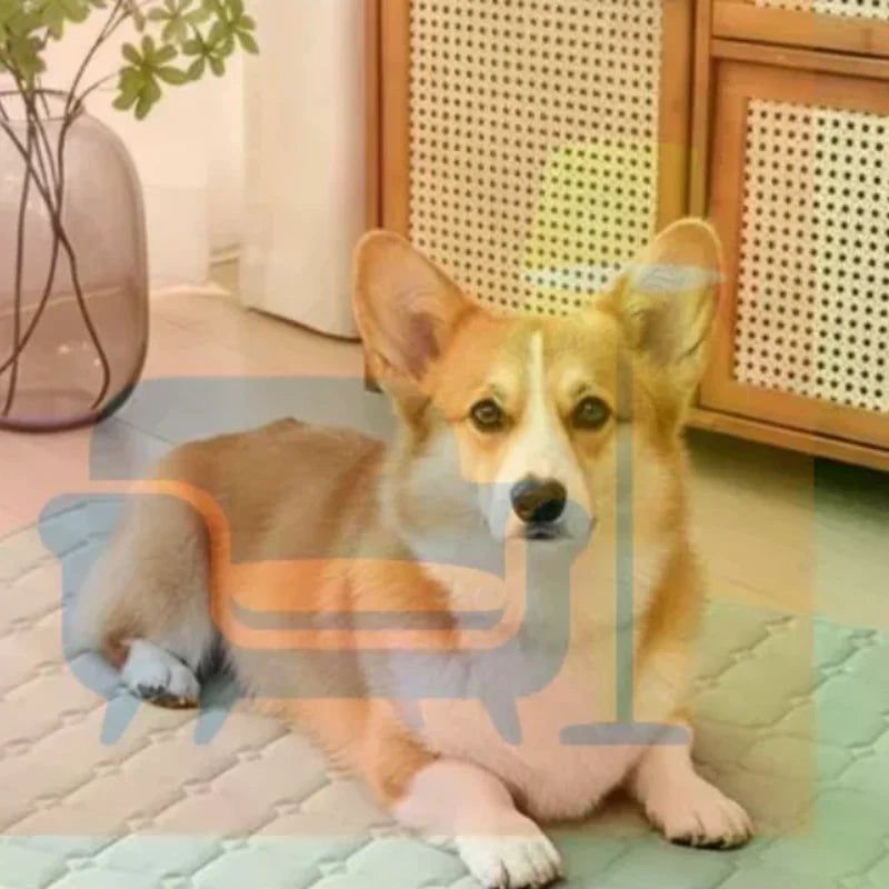Dog Mat Summer Pet Cold Bed Extra Large For Small Big Dogs Pet Accessories Cat Durable Blanket Sofa Cat Ice Pad Blanket Qme