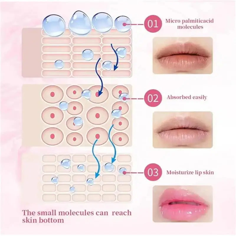 Hyaluronic Acid Collagen Sleep Lip Mask 20g Deep Hydration Lasting Moisturizing Exfoliation Day And Night Can Be Given As A Gift Qme