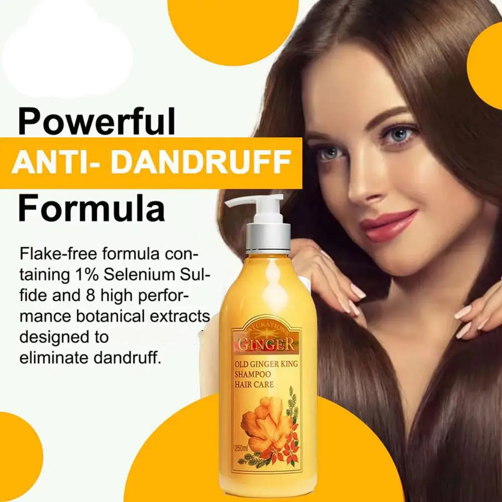 250ml Old Ginger Juice Hair Shampoo Professional Hair Scalp Treatment Oil Control Dense Anti Hair Loss Qme