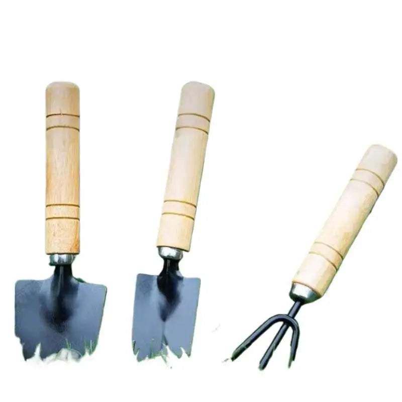 Garden Plants Flower Pot Cactus Vegetables Digging Weeding Indoor Qme