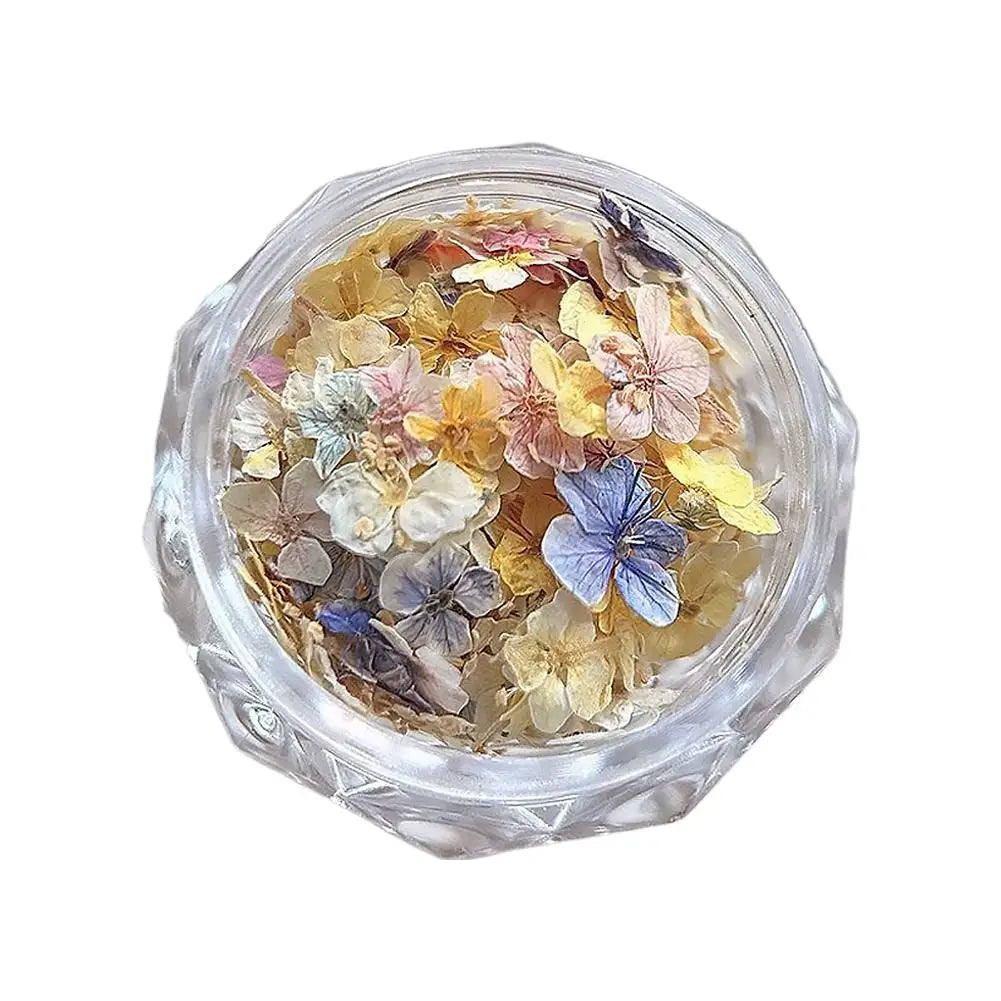 1 Box 3D Dried Flowers Nail Art Stickers Decals Mix Tiny Floral Petals Colorful Flower For Nails Crafts DIY Manicure Decorations Qme A CN