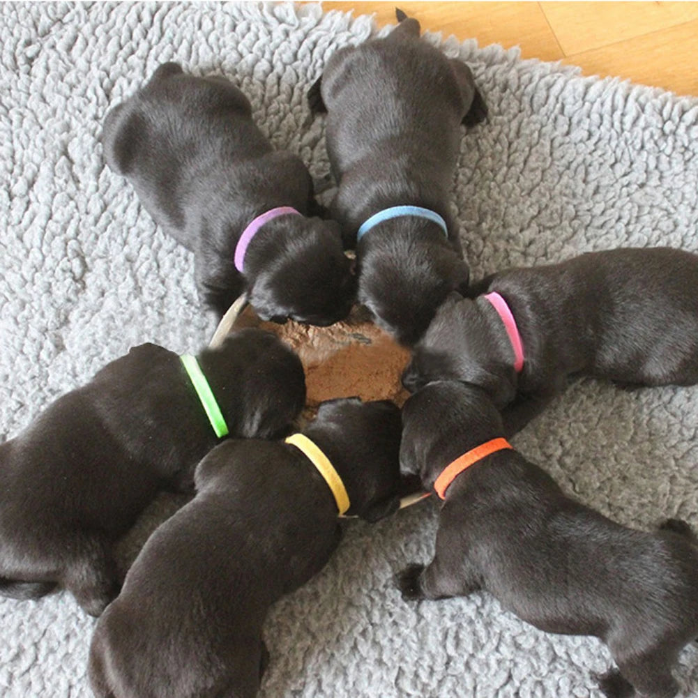 12Pcs Puppy Collars Newborn Puppy Collars Adjustable Kittens Band Hook and Loop Fastener Pet Identification Collars Pet Supplies Qme