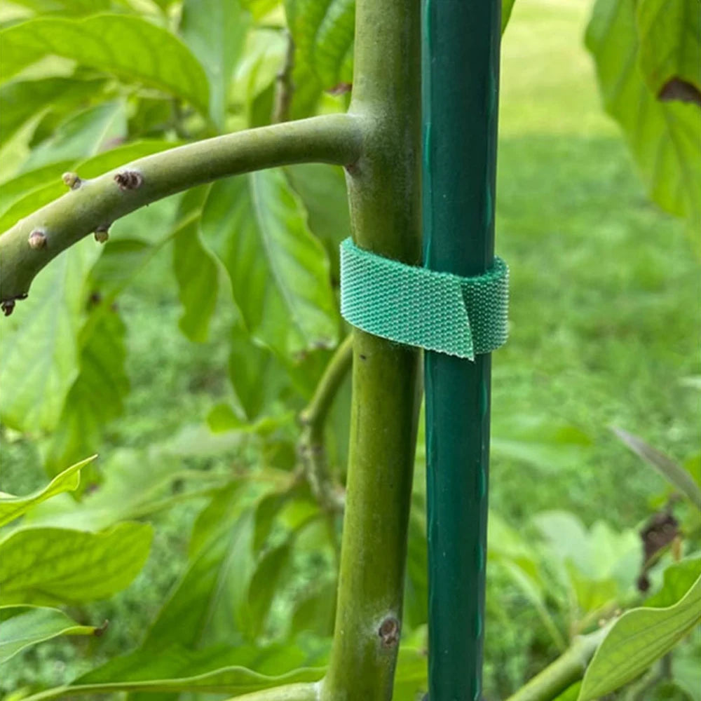 5M/10M Back To Back Velcro Plant Strap Velcro Strap Nylon Self-Adhesive Hook Hair Same Data Cable Tie Qme
