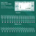 Nailpop Nail Sandwich Curved Square Dual Forms 15 Shapes Clear Molds Qme Short Coffin-240pcs