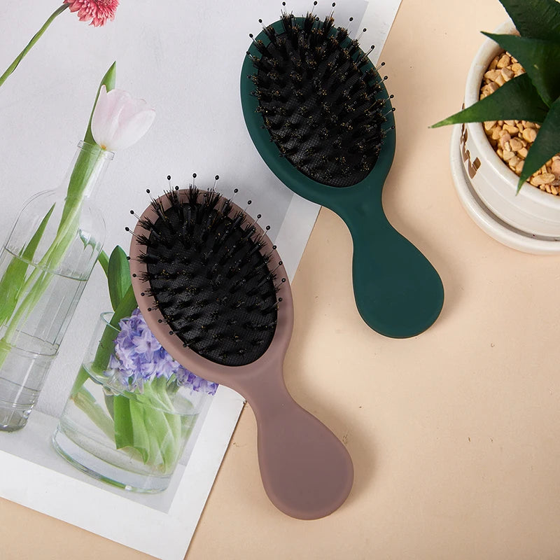 Oval Boar Bristle&nylon Hair Comb Mini Anti-static Scalp Massage Qme