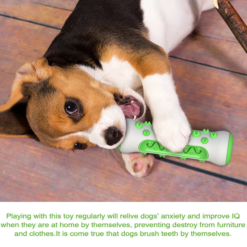 Toothbrush Toys Chew Cleaning Teeth Safe Puppy Dental Care Soft Pet Qme