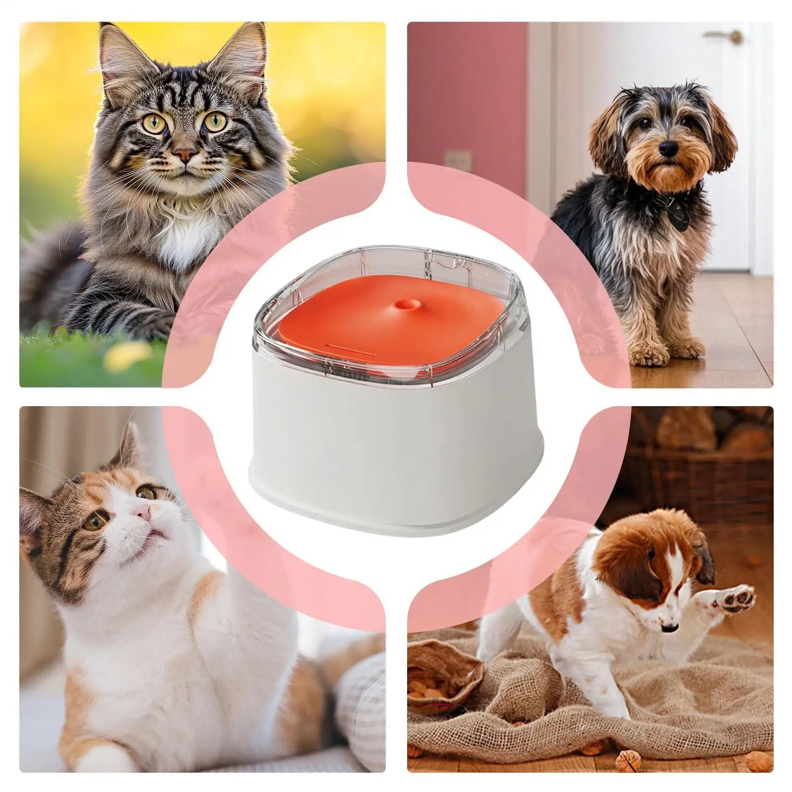 Cat Fountains Quiet Automatic Easy Feeder Pad Water Home House Indoor Qme