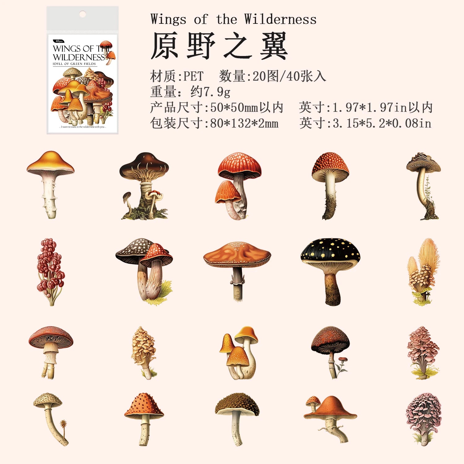 40 Pcs/pack Plant Flower Mushroom PET Stickers Diary Album Scrapbooking Supplies Planner Decorative Stationery Sticker Qme D