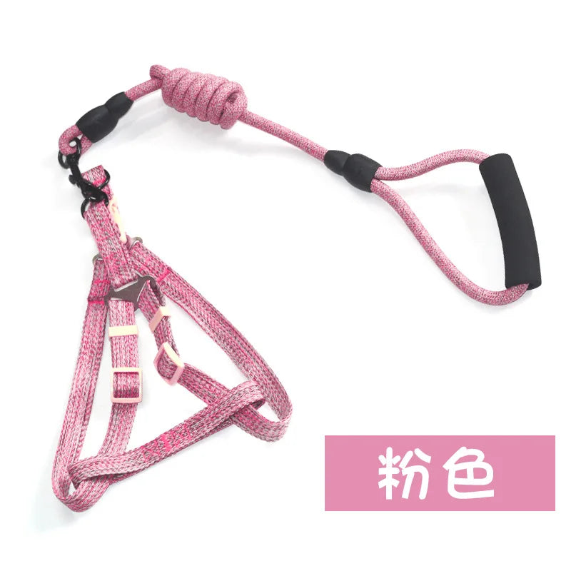 B Dog Harness 1.2M Leash Set for Small Dogs Adjustable Puppy Cat Harness Vest Poodle Chihuahua Pug Outdoor Walking Pet Leash Qme pink 2.5cm 15-25 kg