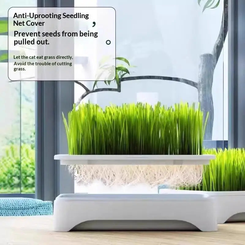 Pet Cat Grass Planting Basin Soilless Culture Wheat Seedling Pot Qme
