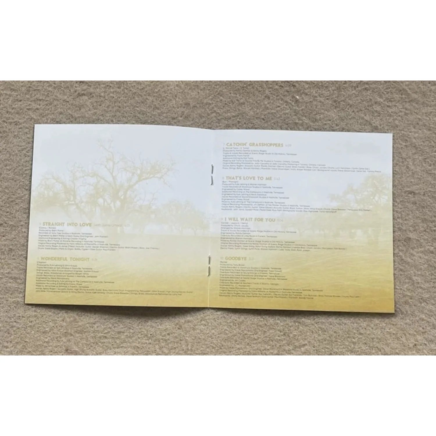 Classic Country Music CD Black-and-White Portrait Gold Foil Text Themed Cover Lyrical Narrative Country Golden Track Collection Qme