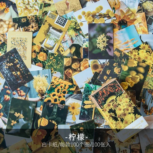 100 pcs Spring summer autumn winter Kraft Paper Mini Greeting Card INS flower Postcard Letter Envelope Decoration LOMO Cards Qme D