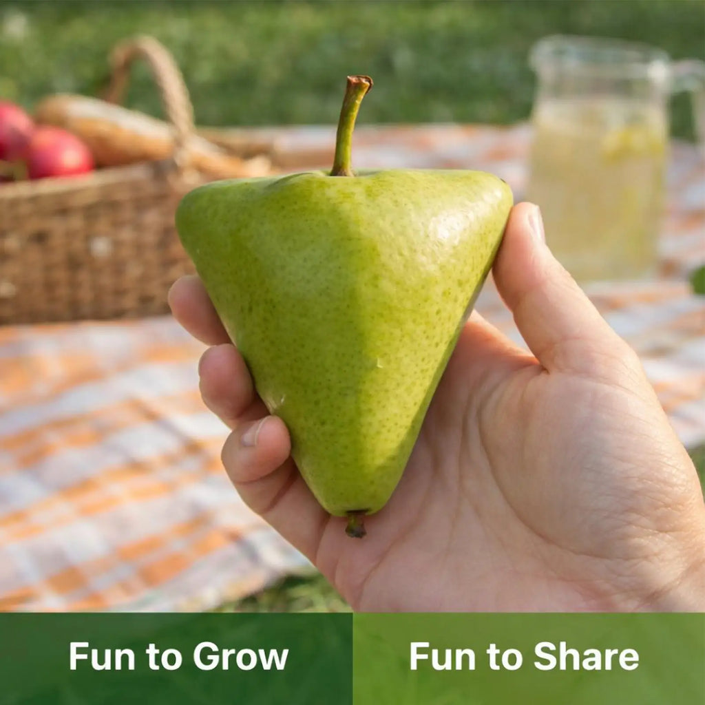 Fruit Shaping Molds For Growing Transparent Reusable Forming Tool Cucumber Styling Growth Mold For Pumpkin Tomatoes Garden Yard Qme
