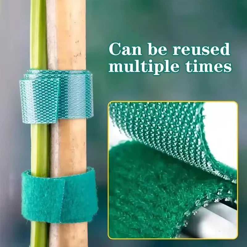Self Adhesive Garden Tape Support For Plants Growing Climbing Reusable Plant Support Nylon Cable Tie Fastener Garden Accsesories Qme