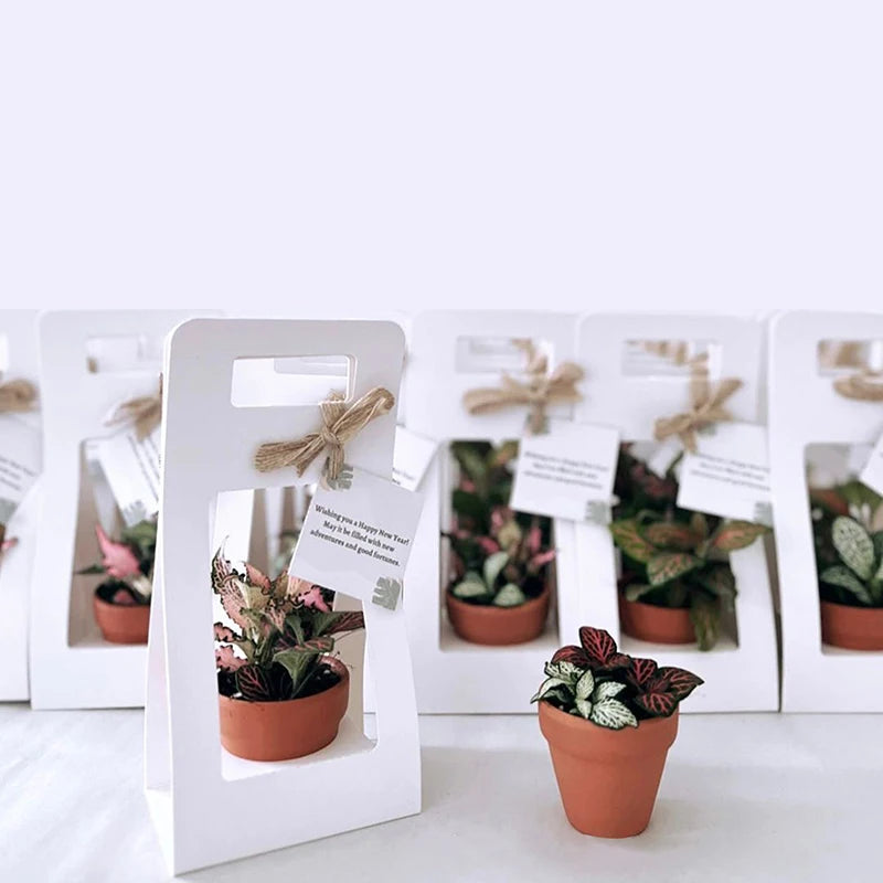 Water Proof Kraft Paper Portable Flower Basket Bouquet Handle Carton Qme