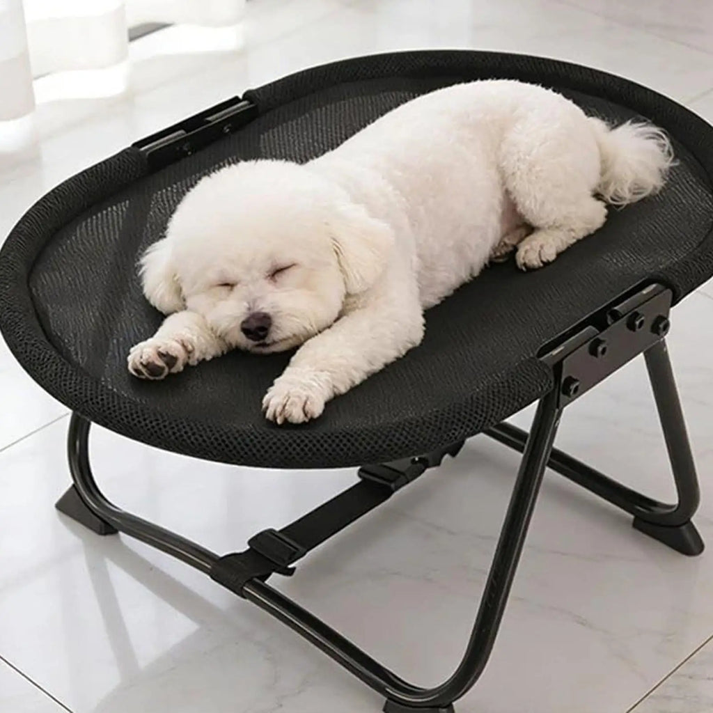 Dog Cot Bed Foldable Breathable Pad Indoor Camping Cat Beds Small Qme