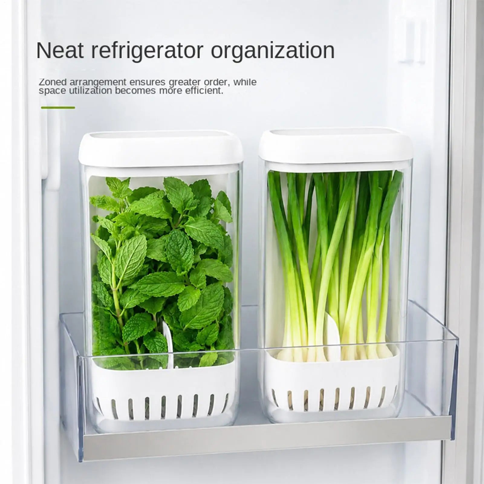 Cilantro Keeper Drainage Upright Space Saving Produce Saver Qme China Mainland
