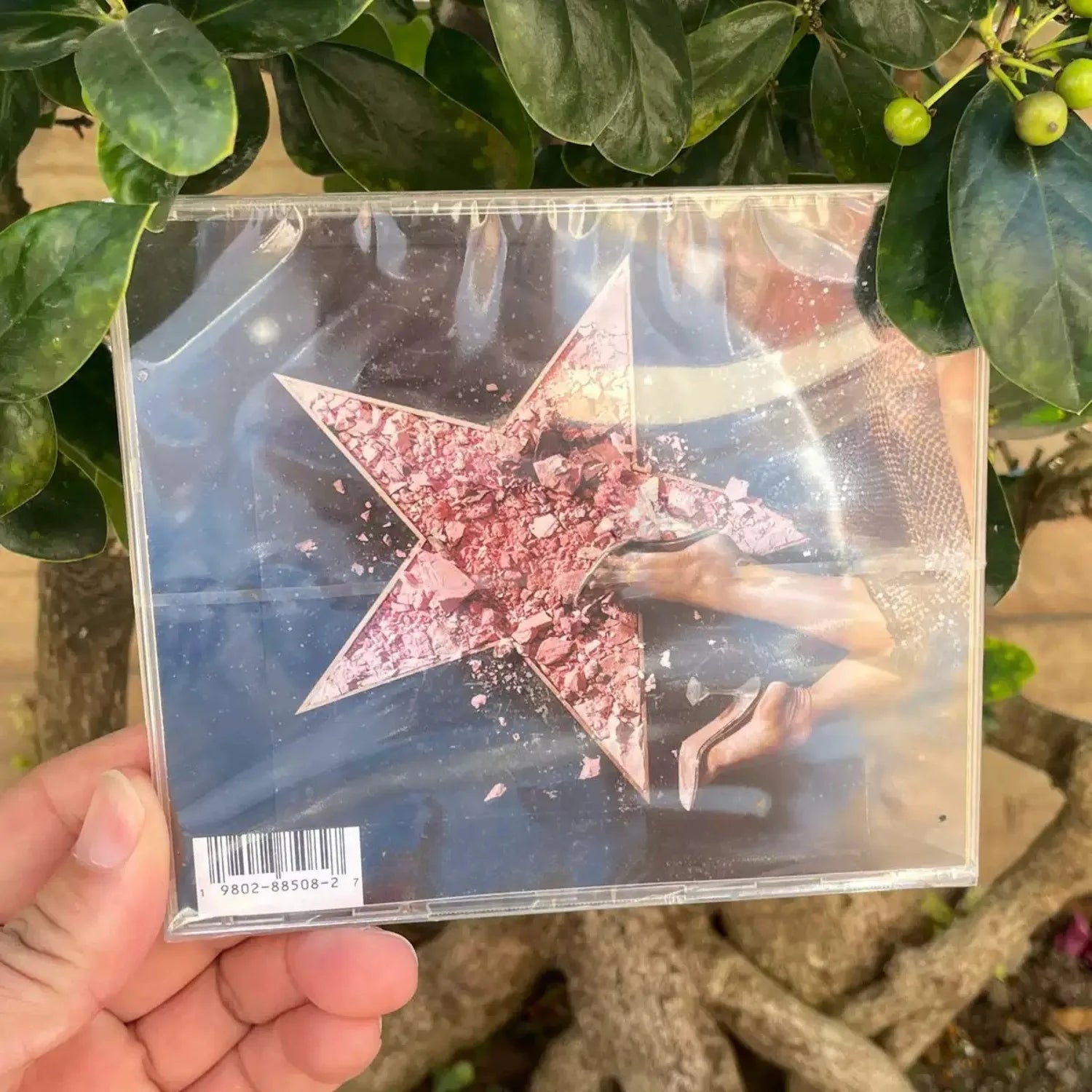 Gentle Healing Pop Vocal CD Album | Light-and-Shadow Portrait Atmospheric Cover, Delicate Vocal Lyrical Tracks Full Edition Qme