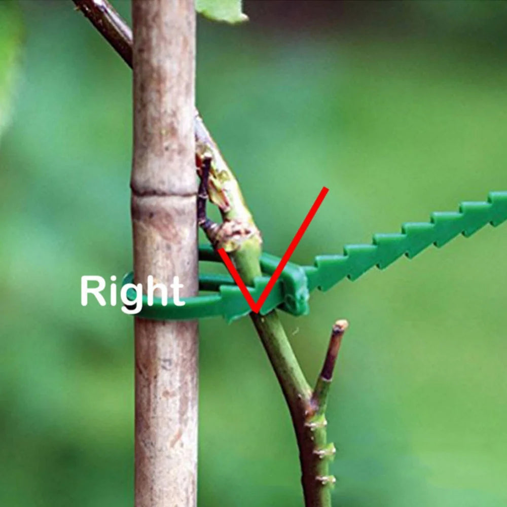 Adjustable Plastic Plant Cable Ties Reusable Garden Tree Climbing Qme