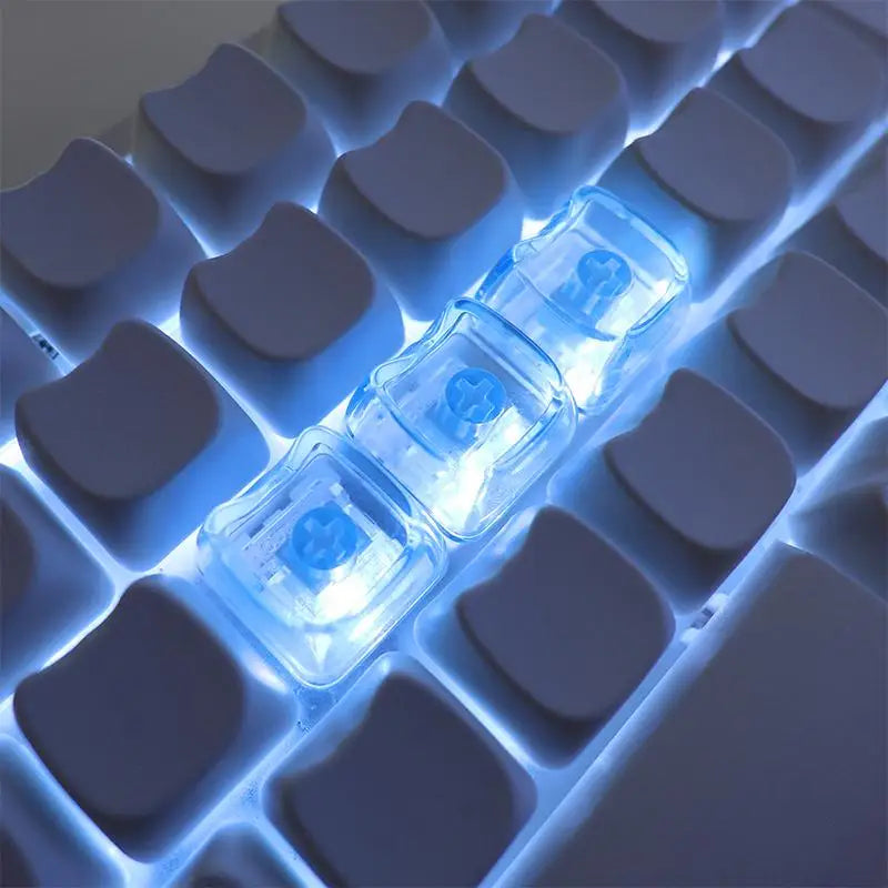 10 Cute Cat Transparent PBT Keycaps 1U Blank MAO Profile Mechanical Qme