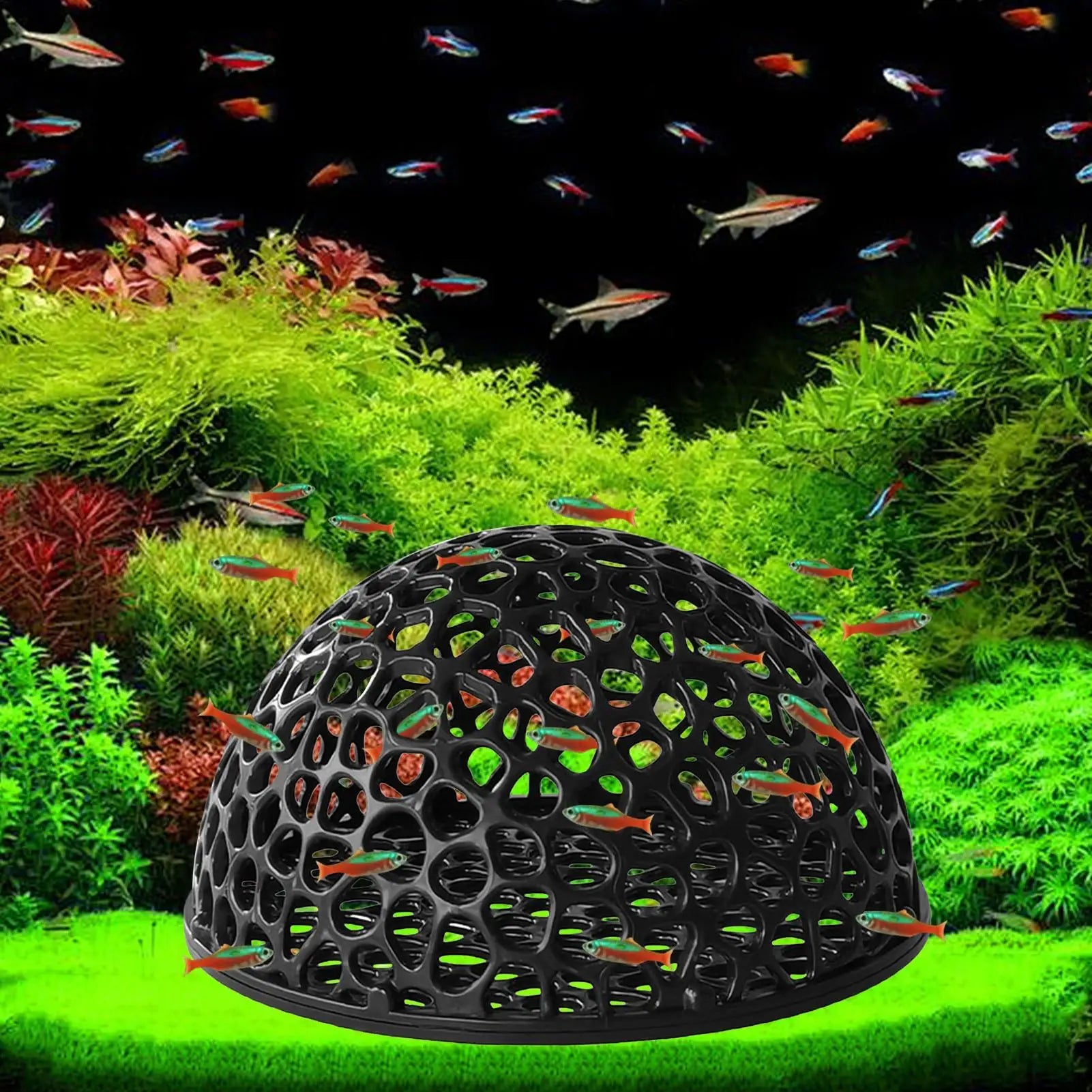 Aquarium Shrimp Hide Shrimp Aquarium Breeding Hide Cave Hiding Tools Hollow Ornamental Fish Resting Place Underwater Saltwater Qme