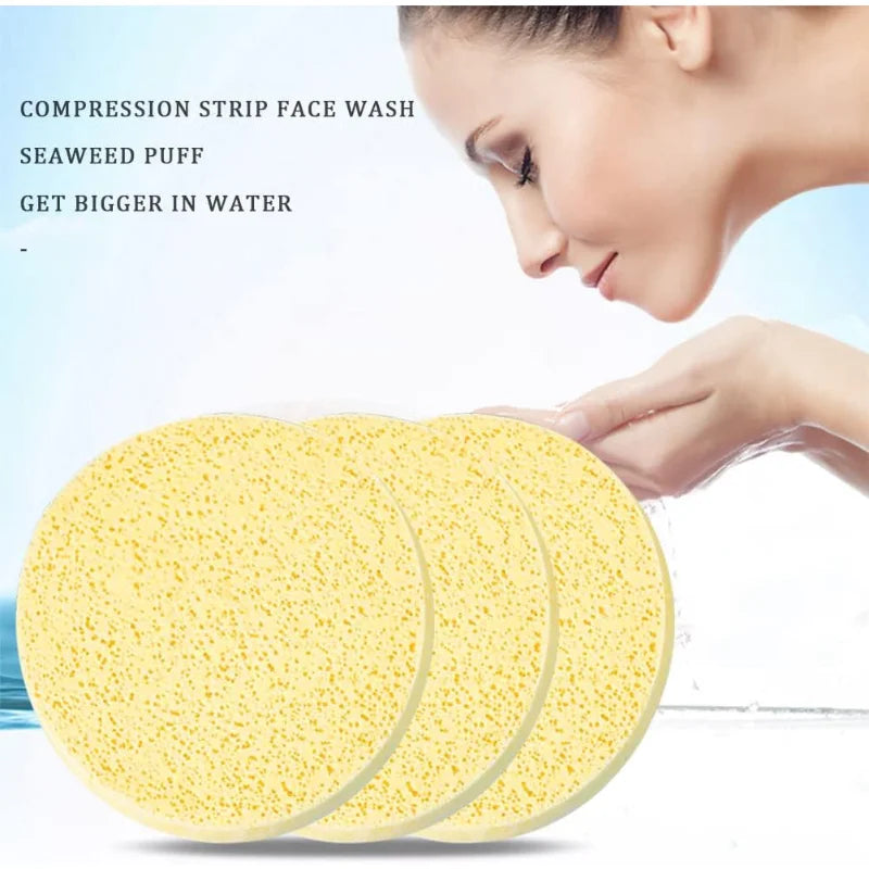 5 Compressed Facial Sponge Estheticians Face Sponges Cleansing Qme