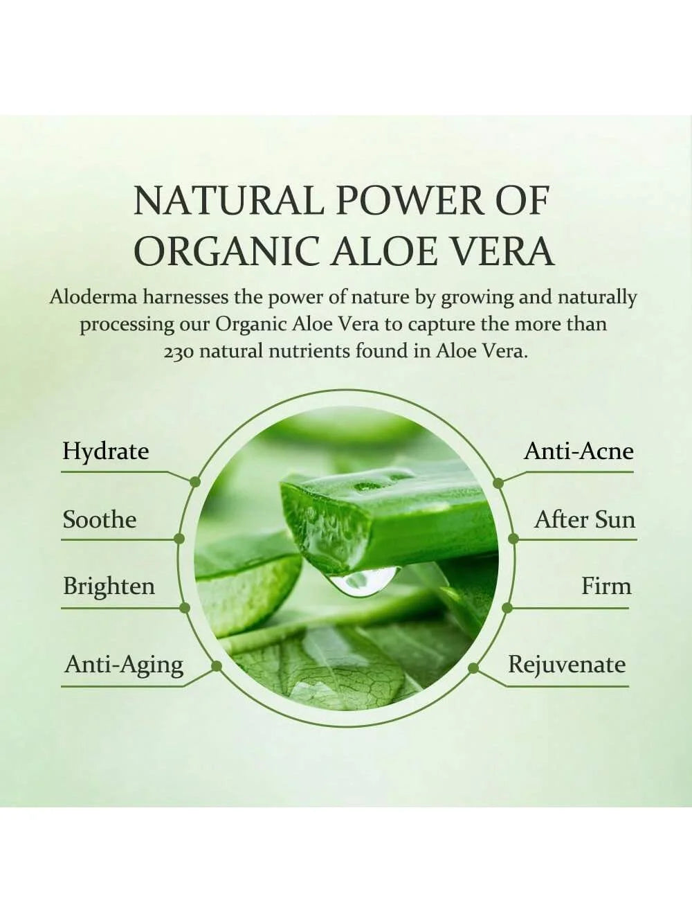 GZE Aloe Vera Gel Boosts Skin Vitality & Hair Hydration & Frizz Control, Sensitive Skin Deeply Moisturizes & Nourishes Qme