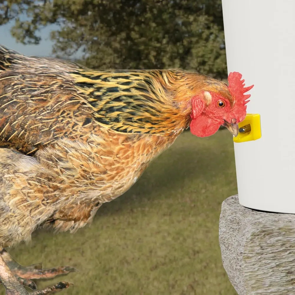 10-50pcs Chicken Automatic Water Dispenser Is Easy To Install and Not Prone To Water Leakage Poultry Automatic Water Dispenser Qme