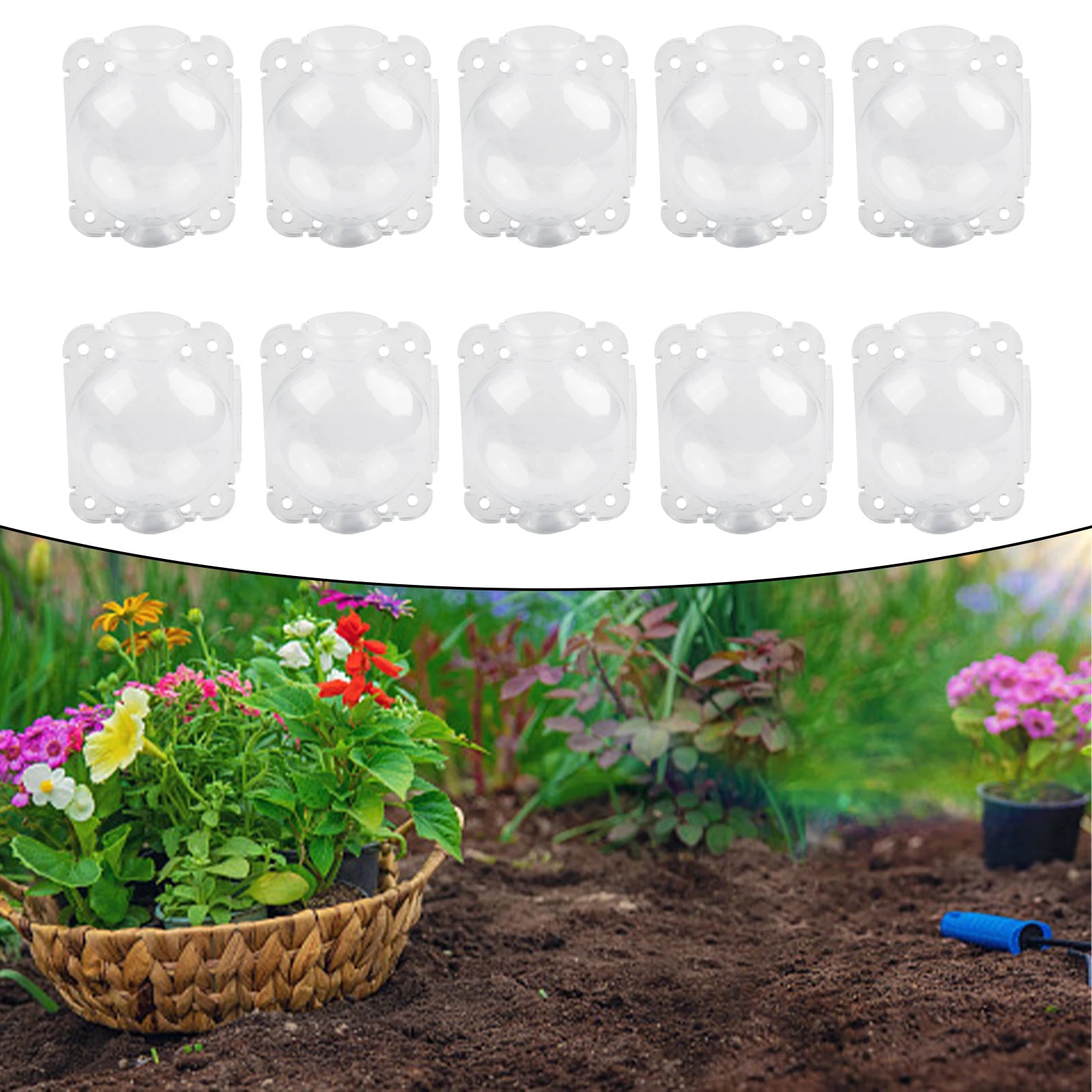 10Pcs Plant Rooting Growing Ball Grafting Root Box Nursery Tray Breeding Tree Graft Case Garden Planting Tools Boxes Replace Qme