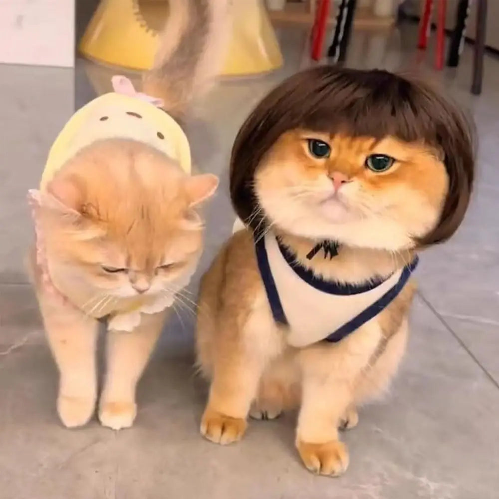 Halloween Pet Wig Fashion Curly Straight Hair Cute Role Play Qme