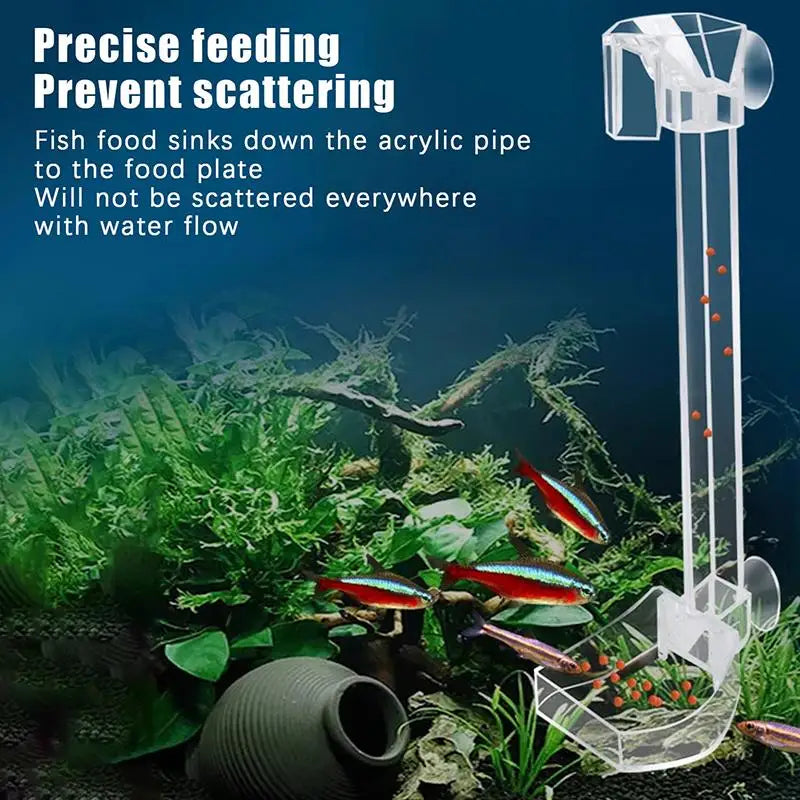 Cleaning Brush Measuring Spoon Shrimp Aquarium Fish Feeding Dish Qme