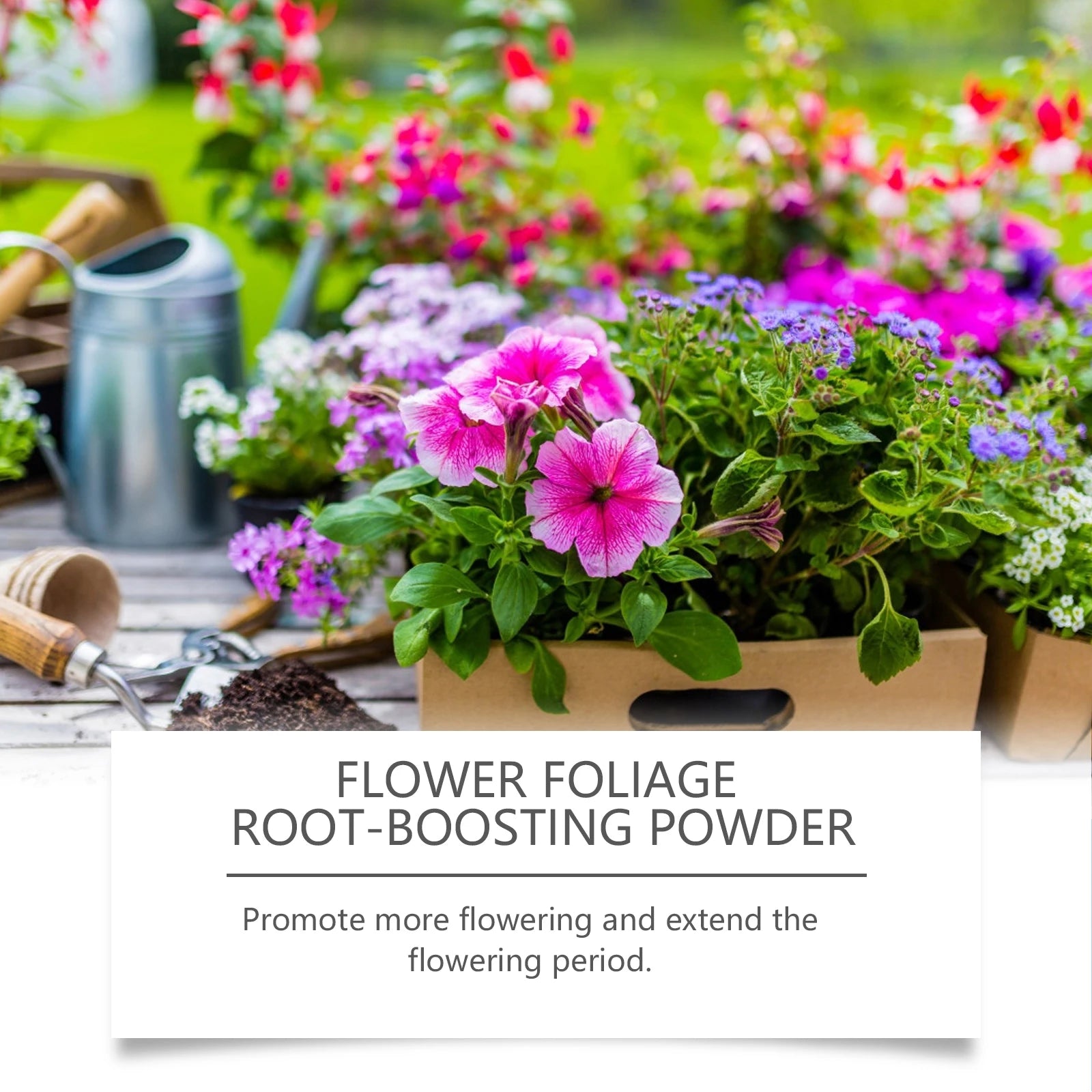 Flower Nutrient Solution Liquid Plant Fertilizer Rooting Booster for Hydroponics Garden Plants Blossom Nutrition Food Qme