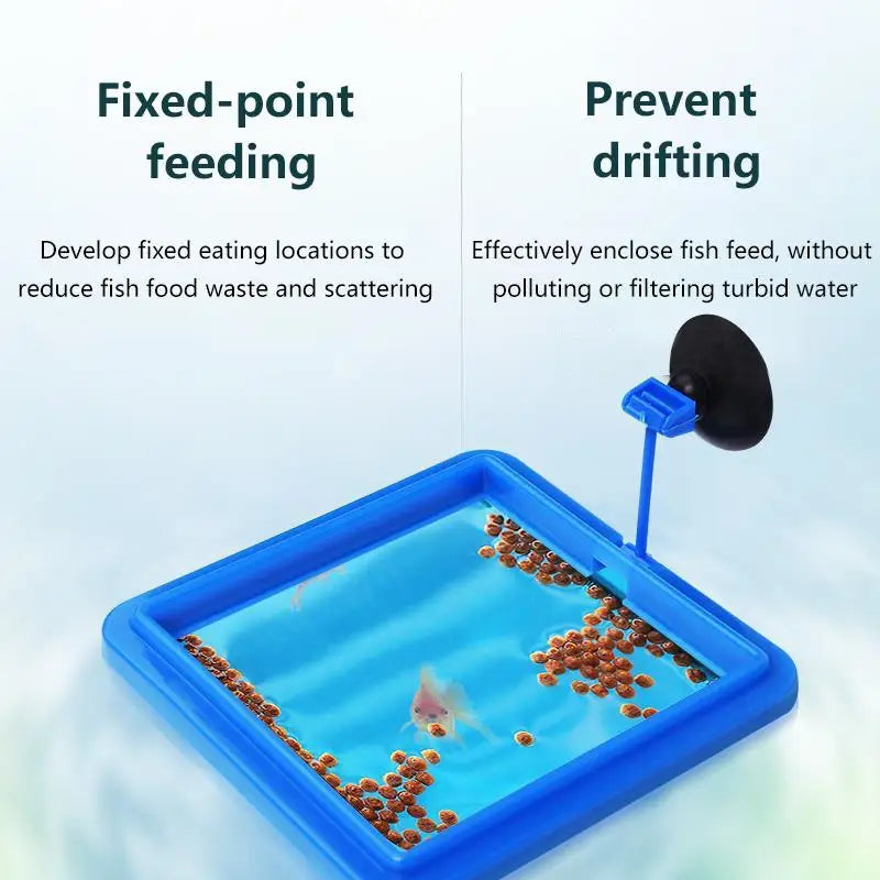 1 Feeding Ring Prevent Food Dispersion Fish Pinch Suction Cup Tank Qme