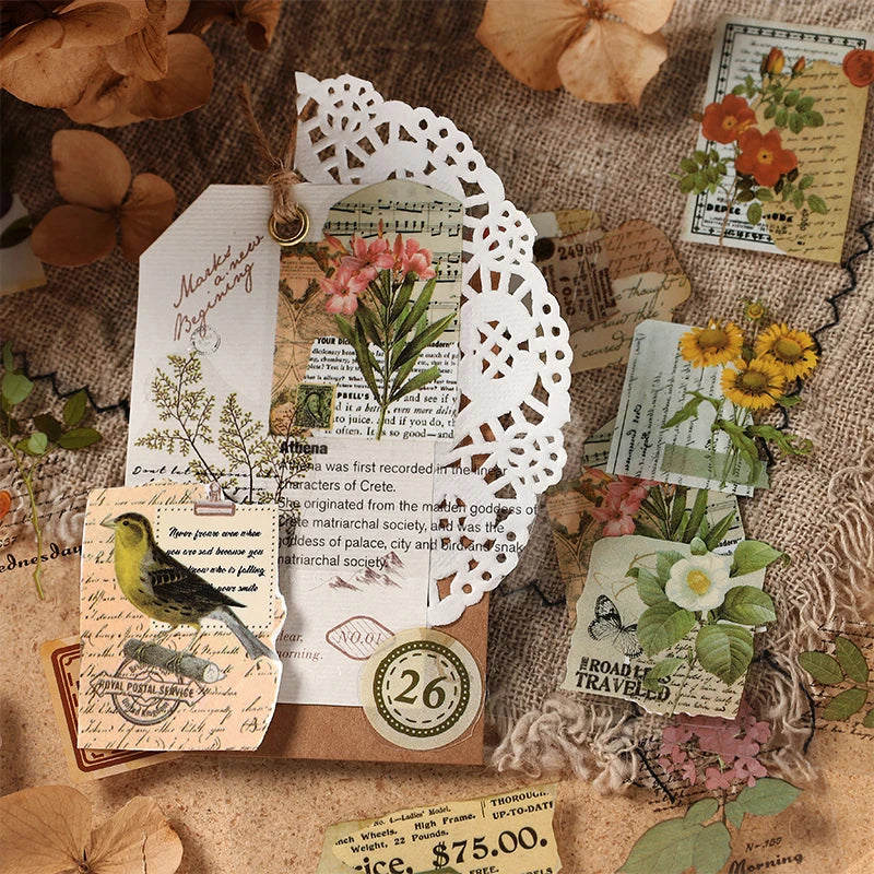 4 Design 20 Pcs/set Stickers Vintage Animal Plant Insect PET Transparent Decoration Sticker For Diary Scrap Book Stationery Qme