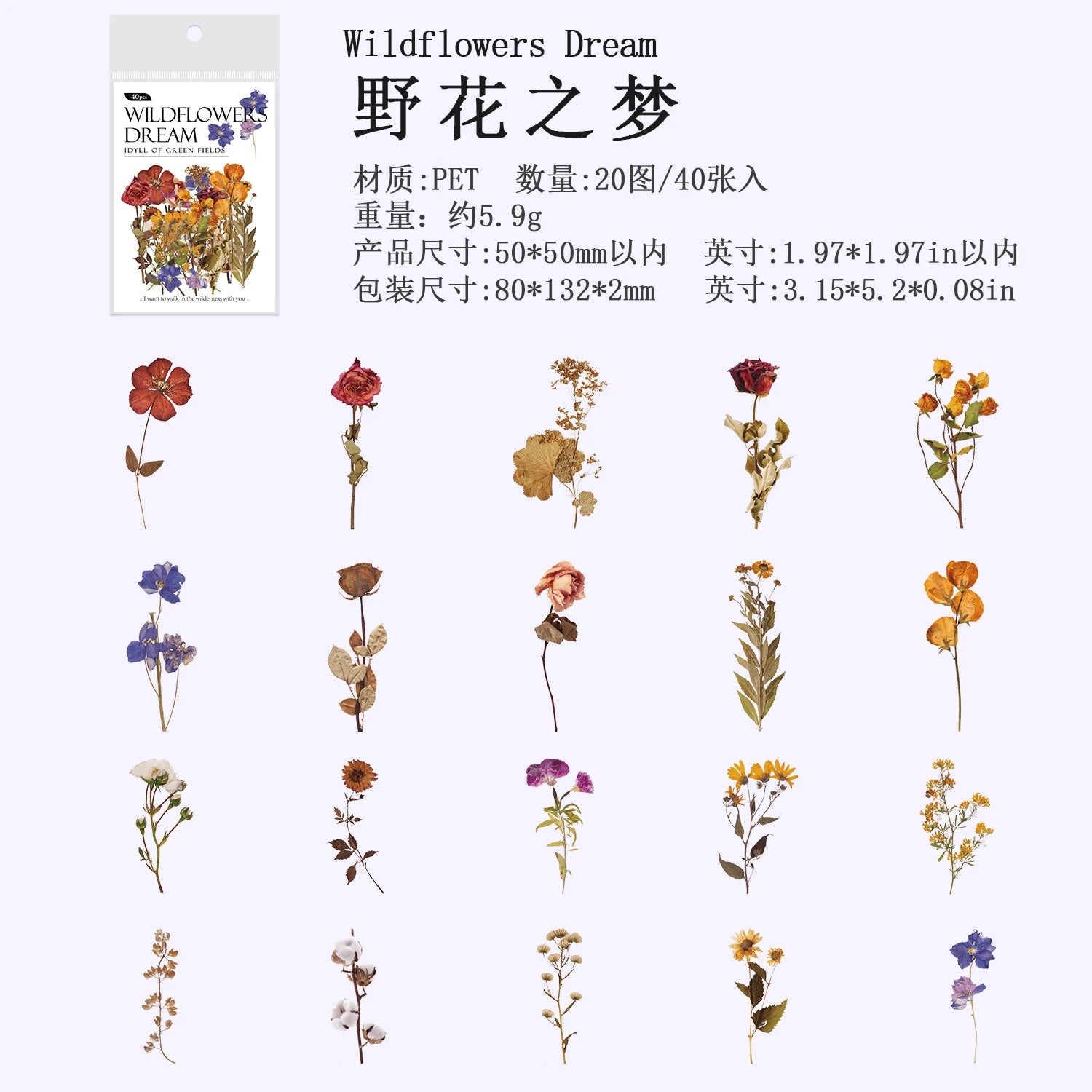 40 Pcs/pack Plant Flower Mushroom PET Stickers Diary Album Scrapbooking Supplies Planner Decorative Stationery Sticker Qme C