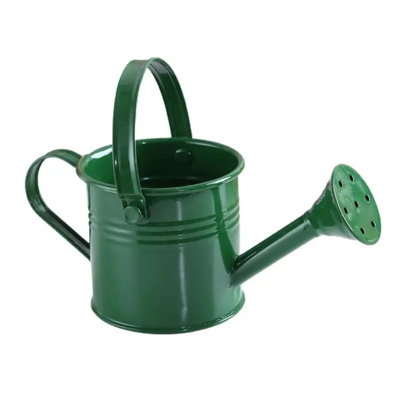 New Metal Watering Can Garden Flower Kettle Mini Small Water Spraying Pot Large Capacity For Kids Adult Qme A5