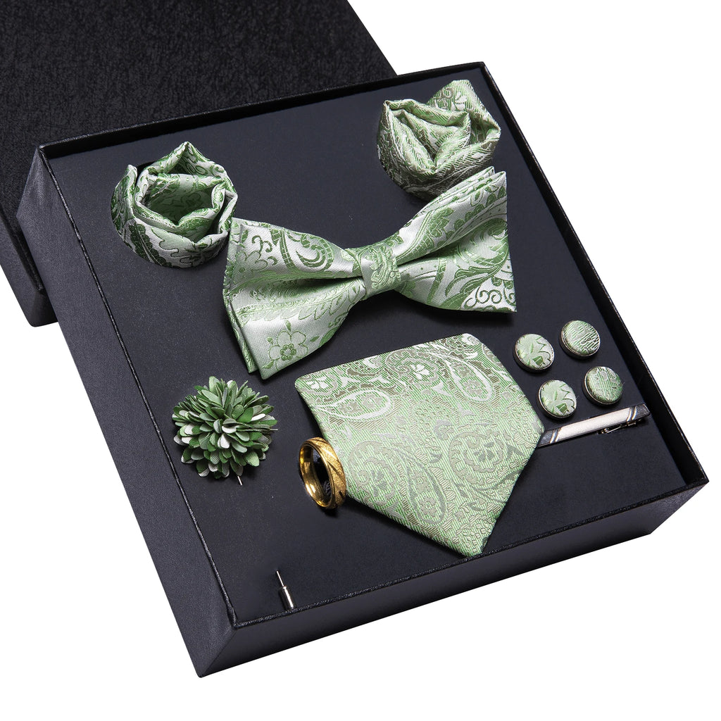 Hi-tie Luxury Box Light Green Paisley Jacquard Pattern Soft Men's Qme N3750